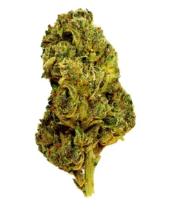 Apple Fritter – THCA Flower