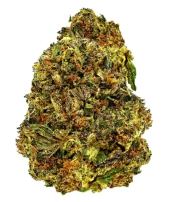 Gelato King – THCA Flower