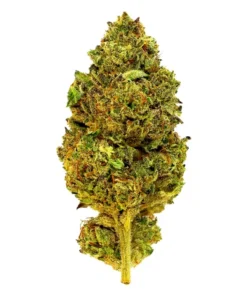 Jokerz – THCA Flower