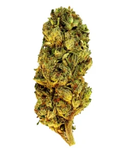 Lobster Butter – THCA Flower