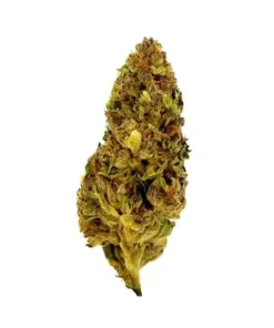 THCA Flower – Illuminati OG