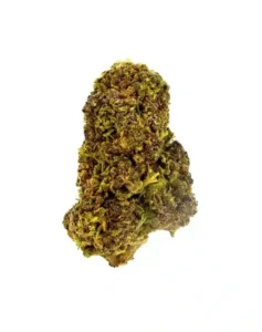 THCA Flower – Mendo Purple Jager