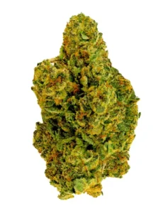 White Runtz – THCA Flower